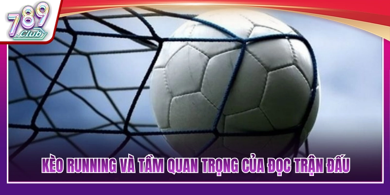 Kinh Nghiệm Soi Kèo Rung Cực Chuẩn Bắt Trọn Kèo Ngon 2 Vai trò của việc đọc thế trận khi bắt kèo rung
