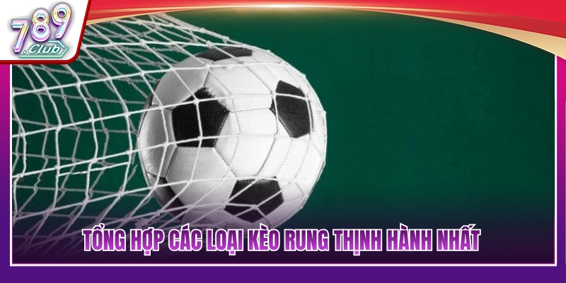 Kinh Nghiệm Soi Kèo Rung Cực Chuẩn Bắt Trọn Kèo Ngon 3 Tìm hiểu dạng cược trước khi áp dụng kinh nghiệm soi kèo rung