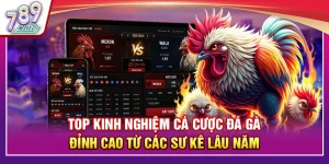 Top Kinh Nghiệm Cá Cược Đá Gà Đỉnh Cao Từ Các Sư Kê Lâu Năm